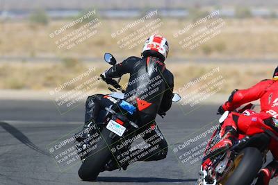 media/Apr-10-2022-SoCal Trackdays (Sun) [[f104b12566]]/Turn 11 Backside (945am)/